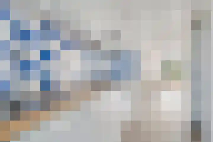 Brink 1 Hooglanderveen thumbnail 11