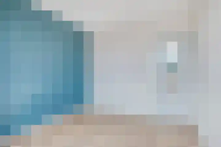 Brink 1 Hooglanderveen thumbnail 14
