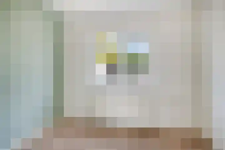 Brink 1 Hooglanderveen thumbnail 16