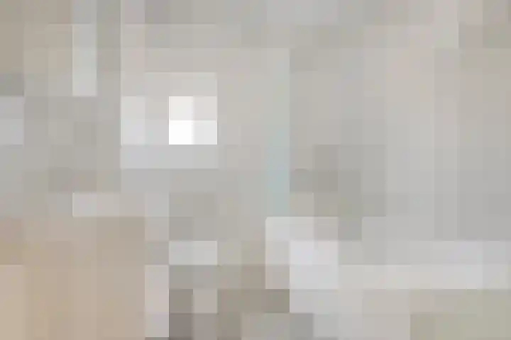 Brink 1 Hooglanderveen thumbnail 17