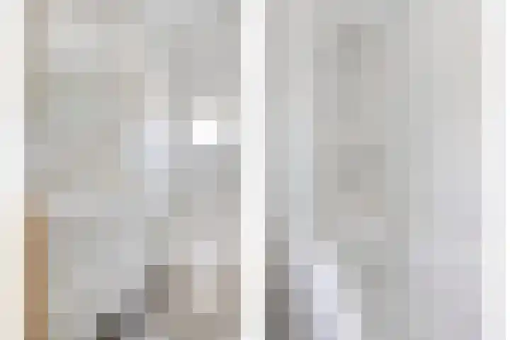 Brink 1 Hooglanderveen thumbnail 18