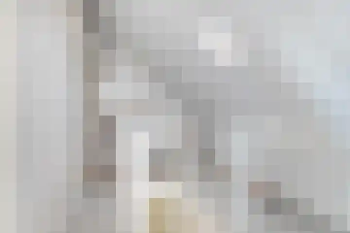 Brink 1 Hooglanderveen thumbnail 19