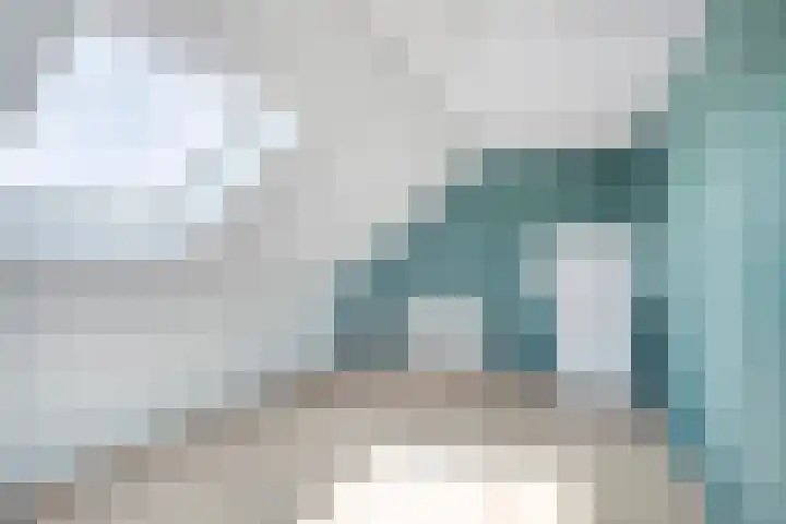 Brink 1 Hooglanderveen thumbnail 20