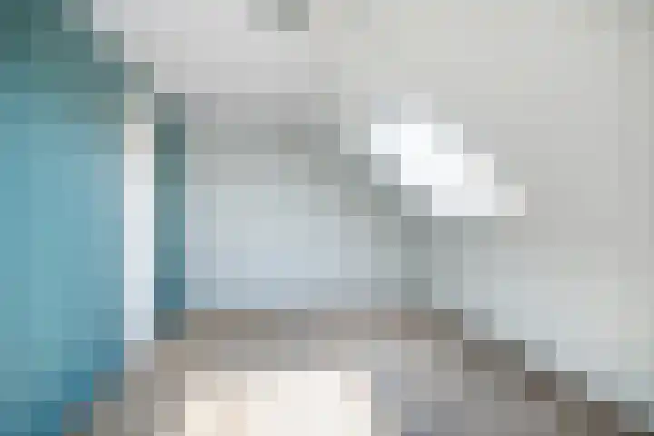 Brink 1 Hooglanderveen thumbnail 21