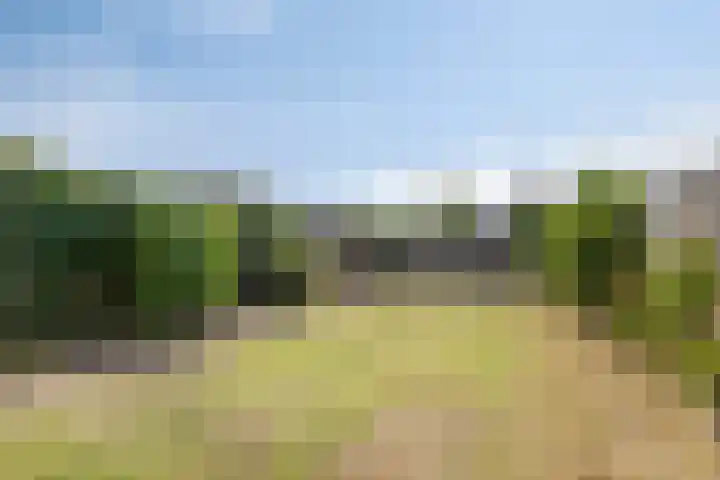 Brink 1 Hooglanderveen thumbnail 23