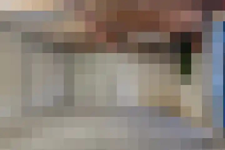Brink 1 Hooglanderveen thumbnail 26