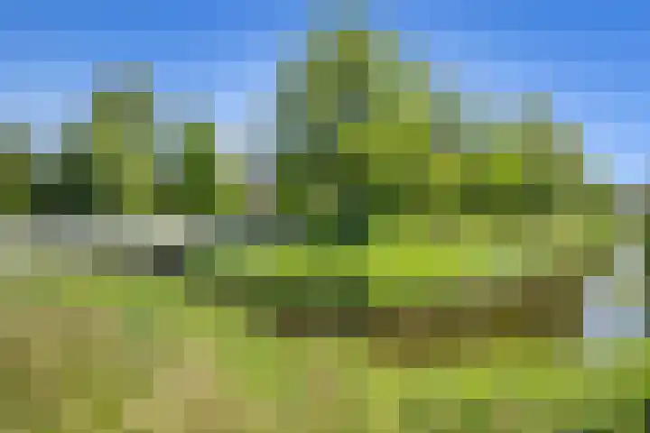 Brink 1 Hooglanderveen thumbnail 32