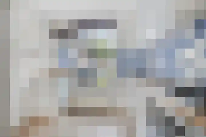 Brink 1 Hooglanderveen thumbnail 4