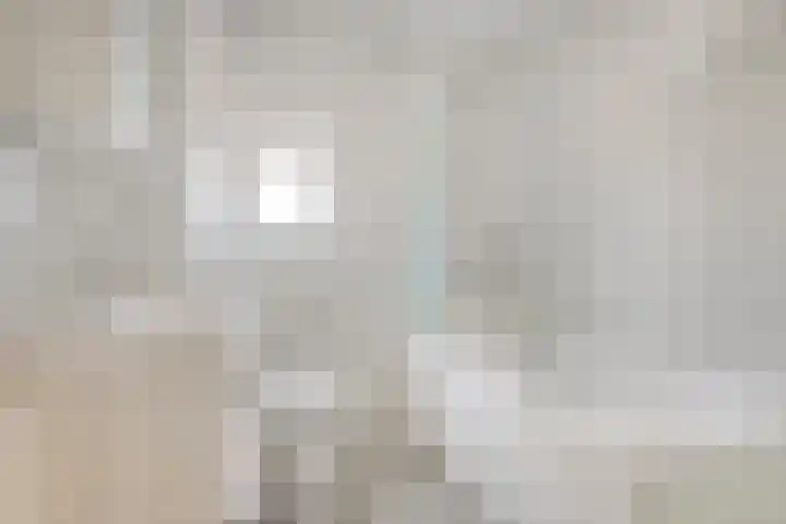 Brink 1 Hooglanderveen thumbnail 5