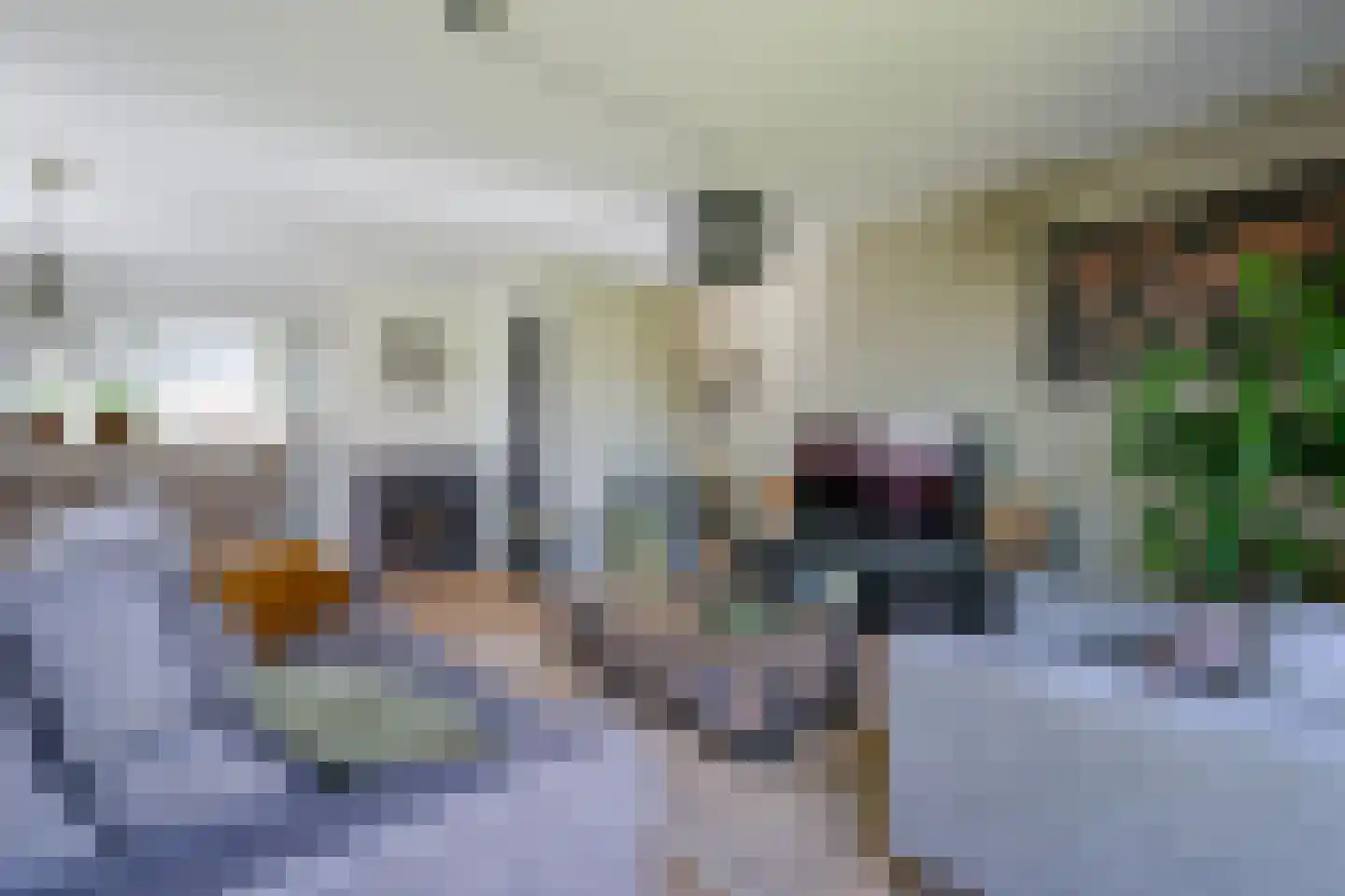 Brink 1 Slootdorp thumbnail 11