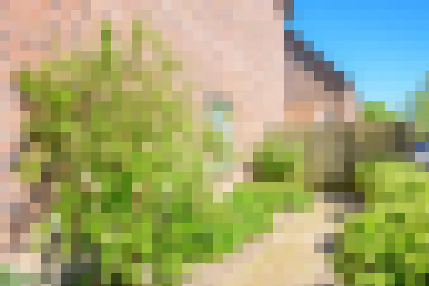 Brink 1 Slootdorp thumbnail 34
