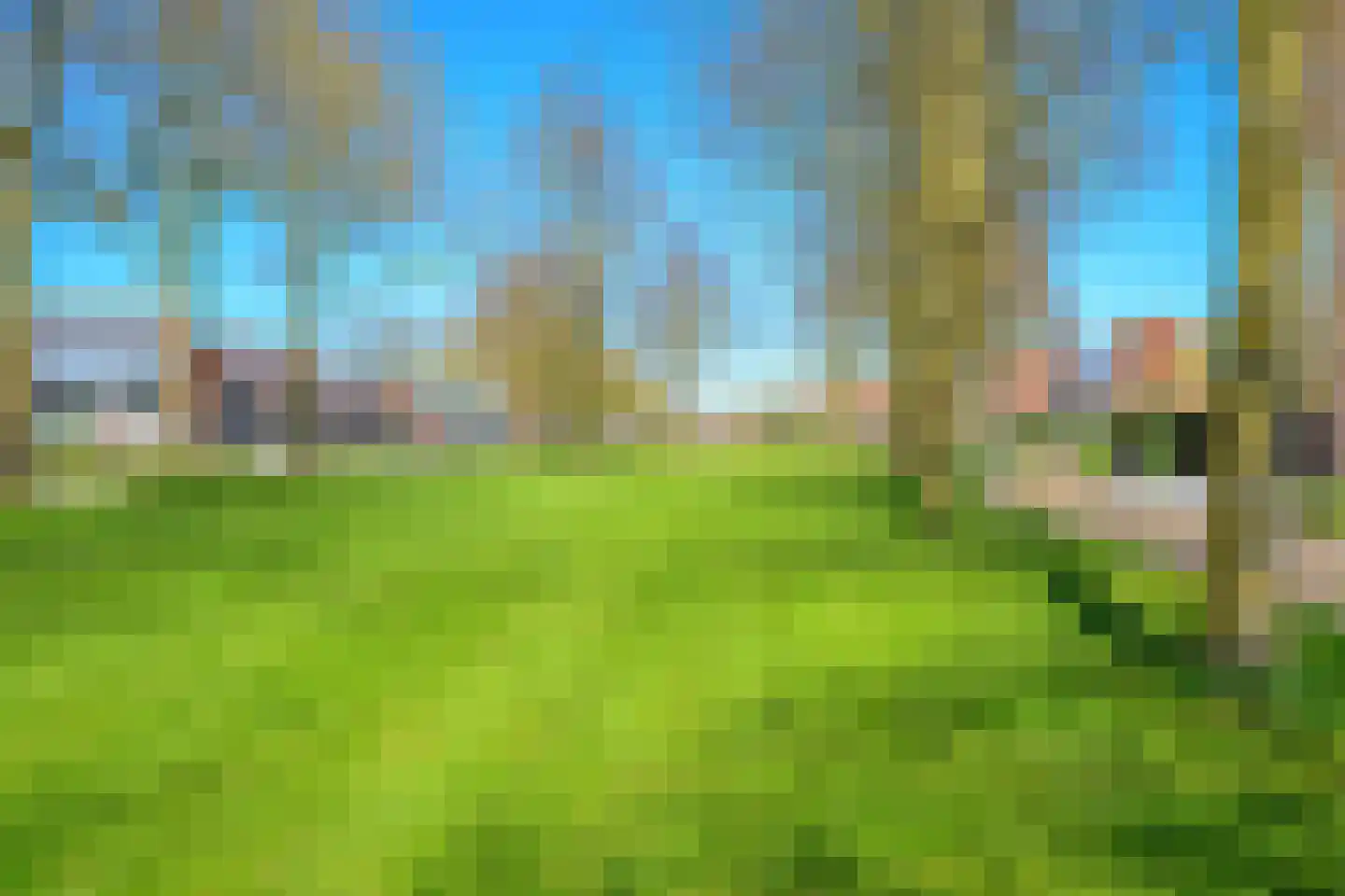 Brink 1 Slootdorp thumbnail 5