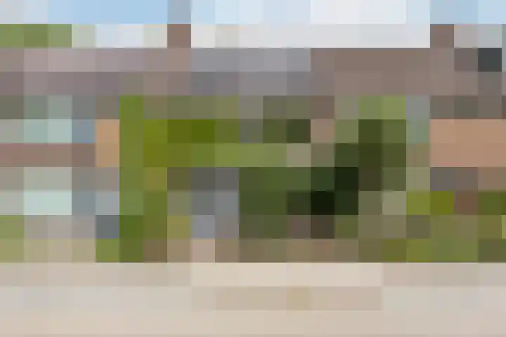 Brink 10 De Koog thumbnail 22