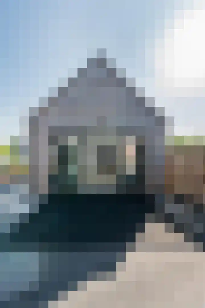 Brink 10 De Koog thumbnail 32