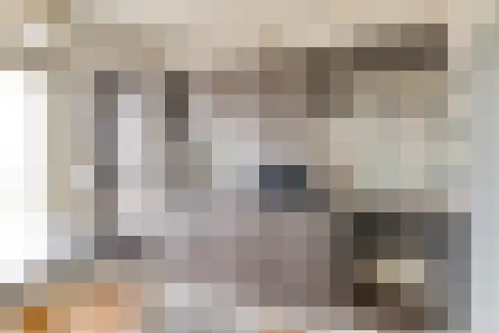 Brink 10 De Koog thumbnail 36
