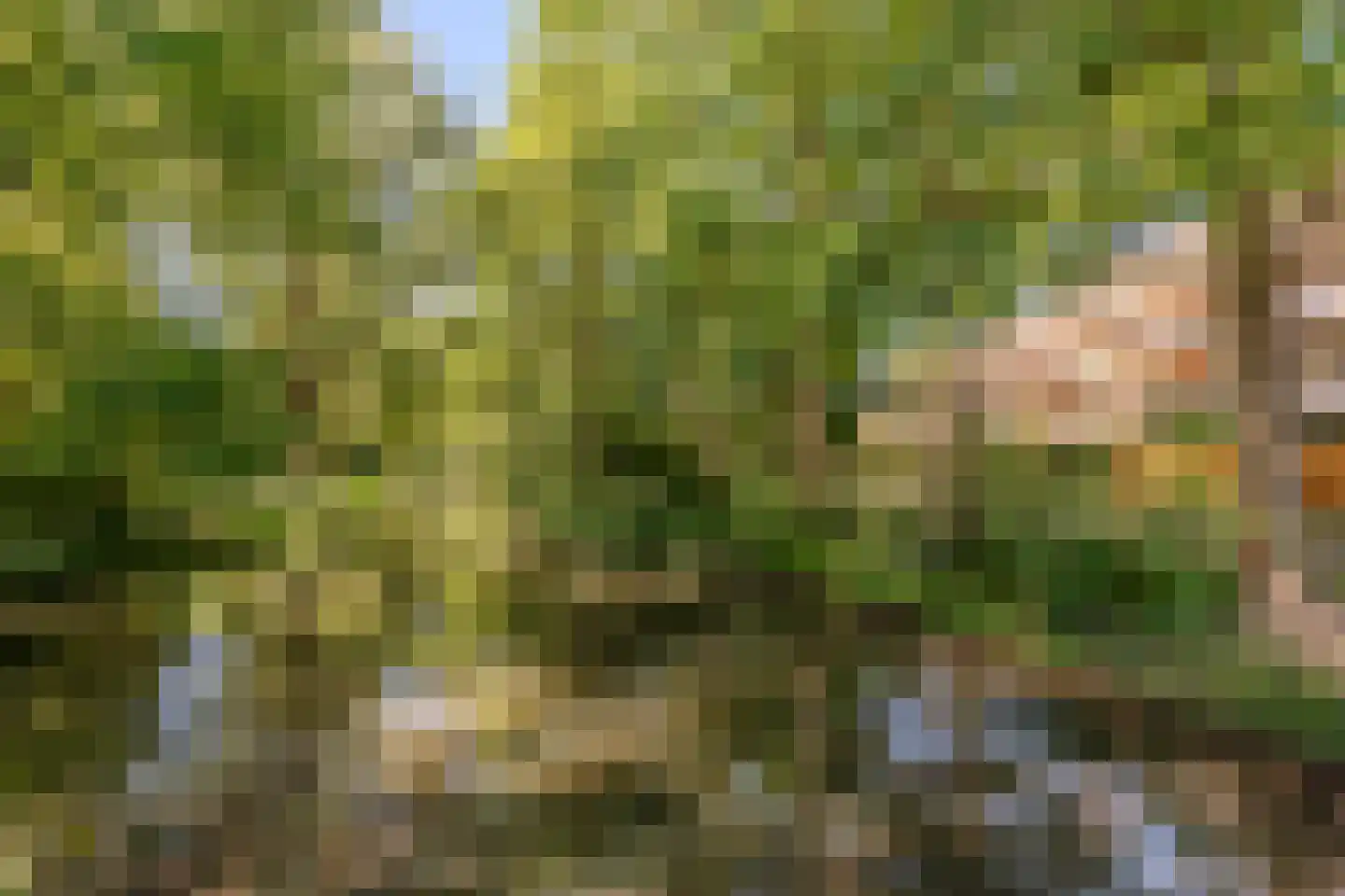Brink 104 Amstelveen thumbnail 5