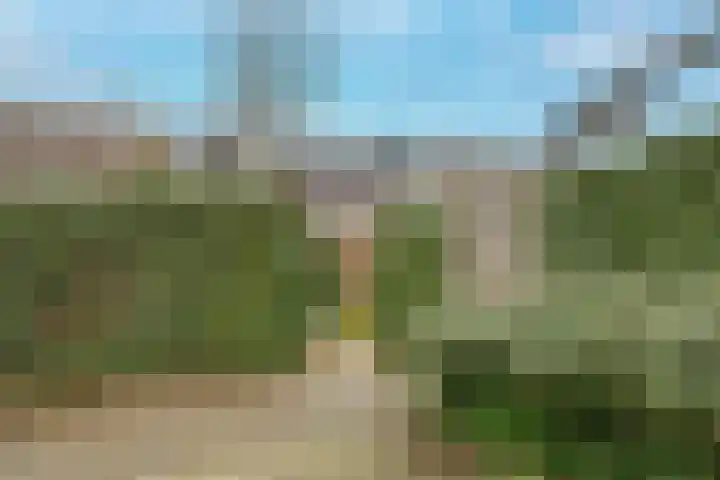Brink 11 Nijmegen thumbnail 47