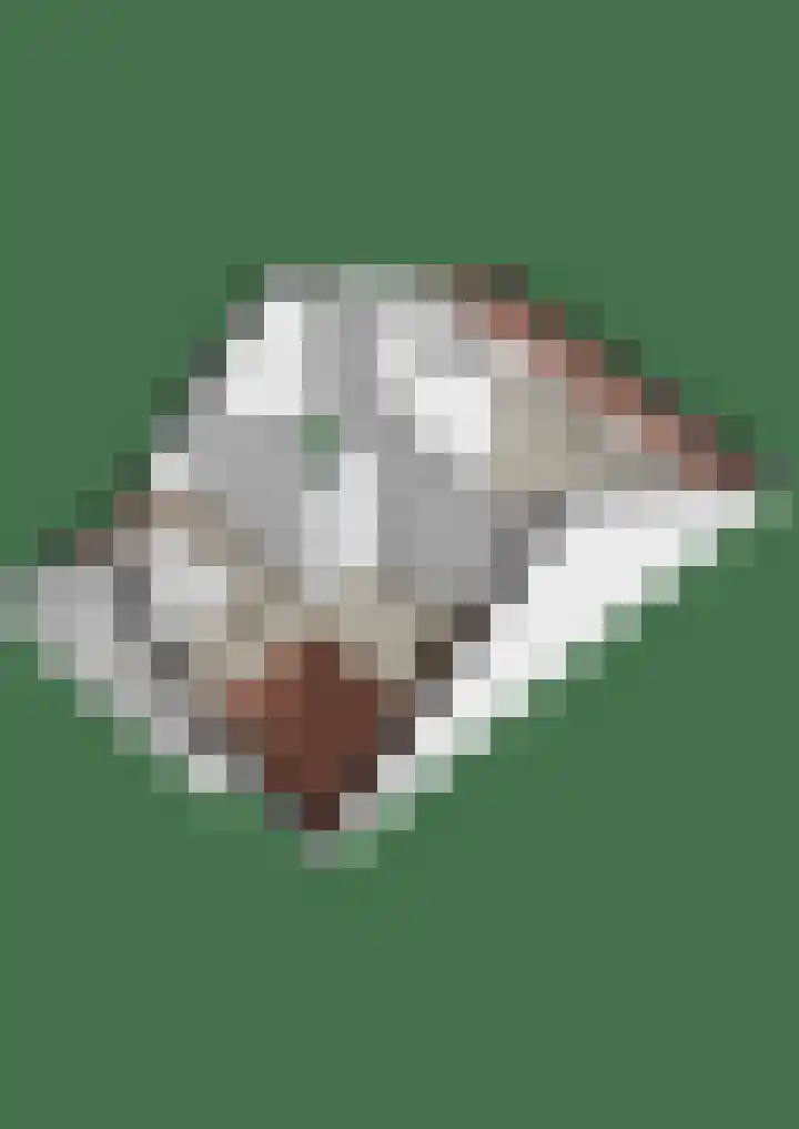 Brink 11 Nijmegen thumbnail 58