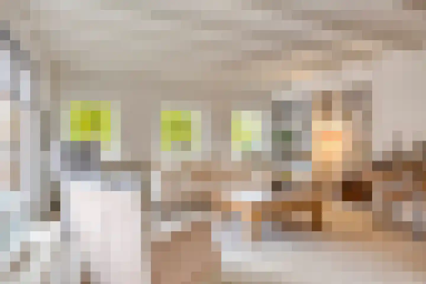 Brink 13 Den Ham thumbnail 10