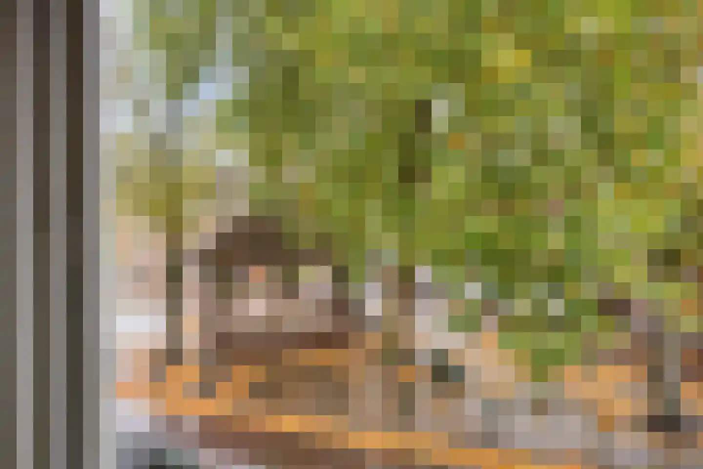 Brink 13 Den Ham thumbnail 12