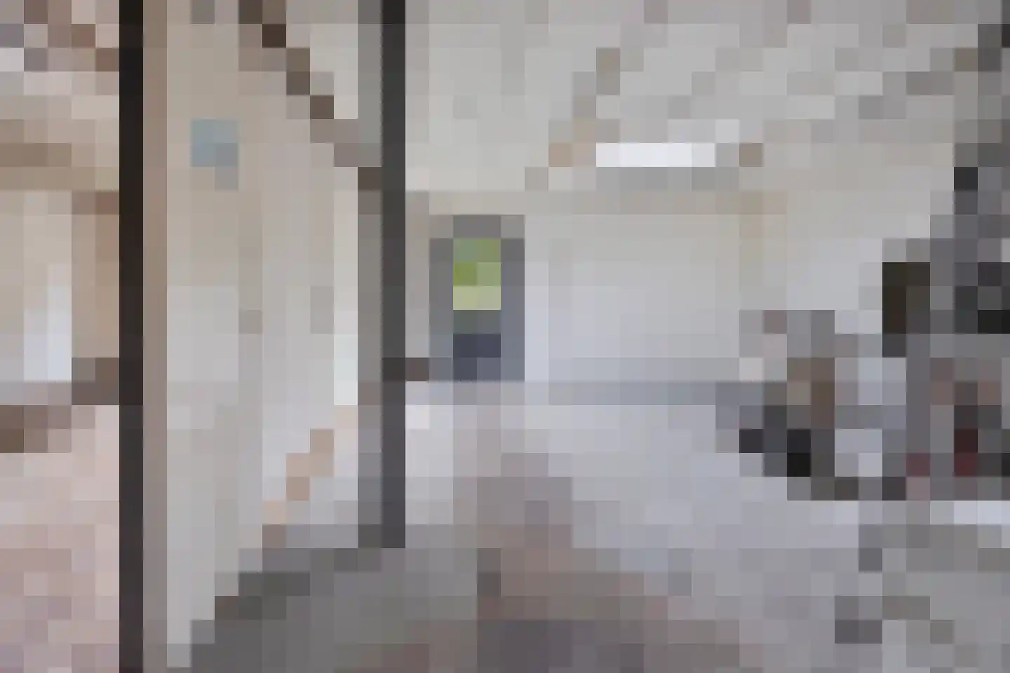 Brink 13 Den Ham thumbnail 31