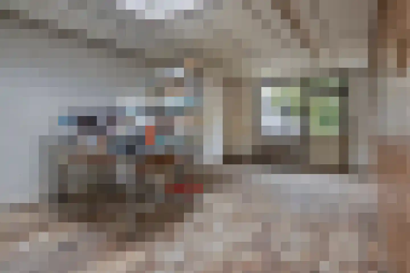 Brink 13 Den Ham thumbnail 32