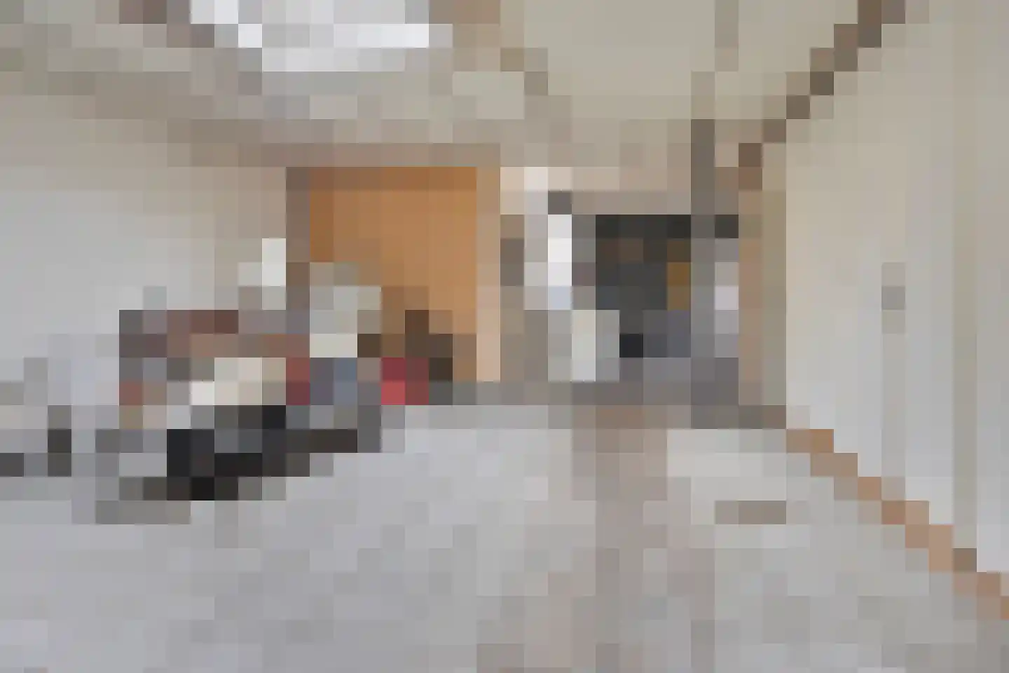 Brink 13 Den Ham thumbnail 34
