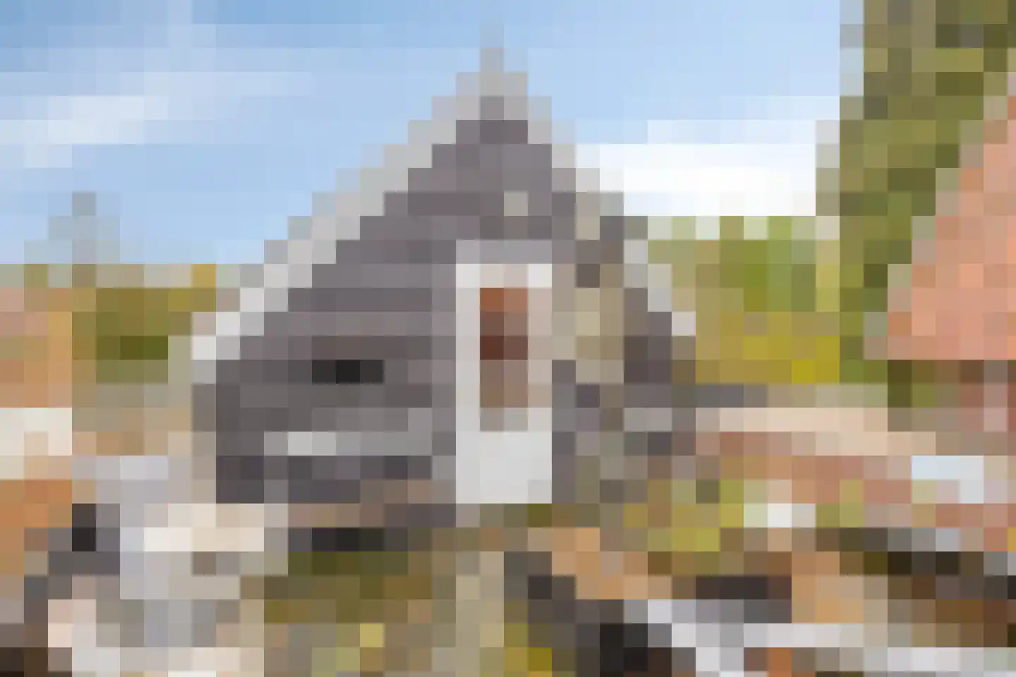 Brink 13 Den Ham thumbnail 8