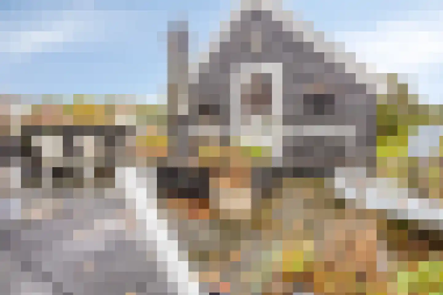 Brink 13 Den Ham thumbnail 9