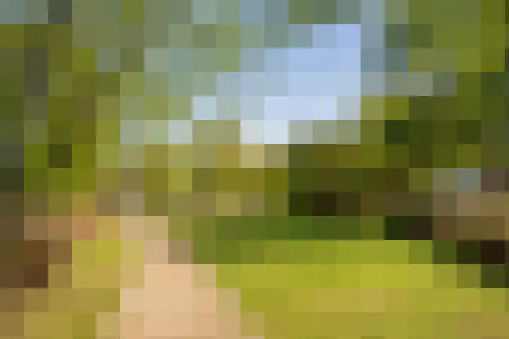 Brink 13 L Deventer thumbnail 23