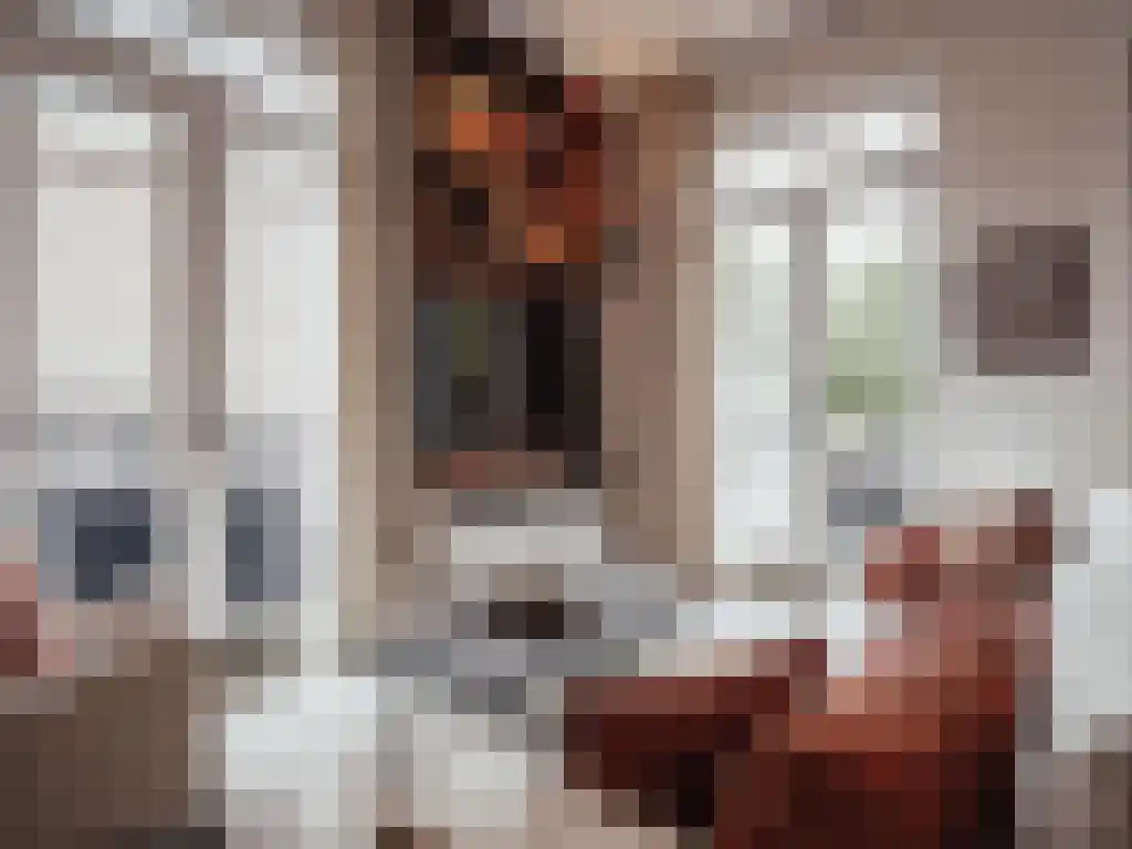 Brink 14 a Laren thumbnail 10