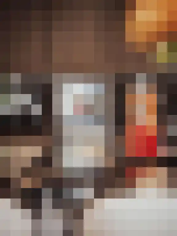 Brink 14 a Laren thumbnail 15