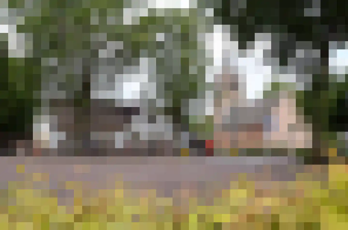 Brink 14 a Laren thumbnail 29
