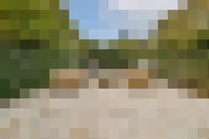 Brink 14 Beverwijk thumbnail 11