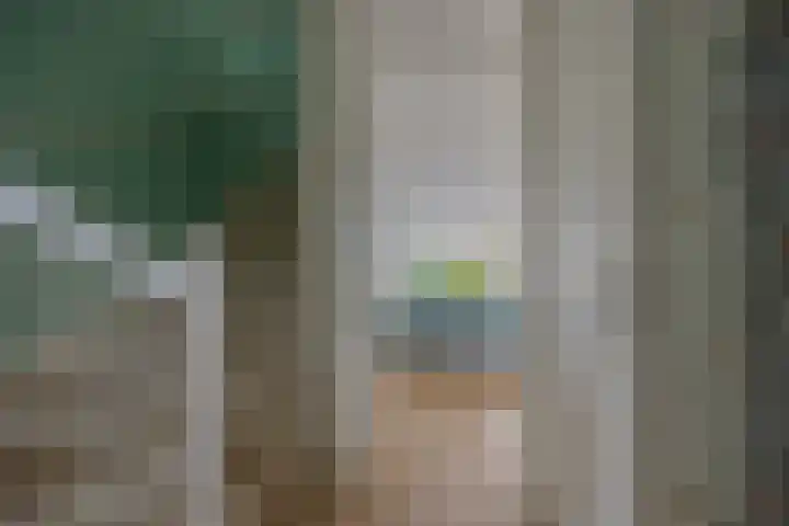 Brink 14 Nijmegen thumbnail 14