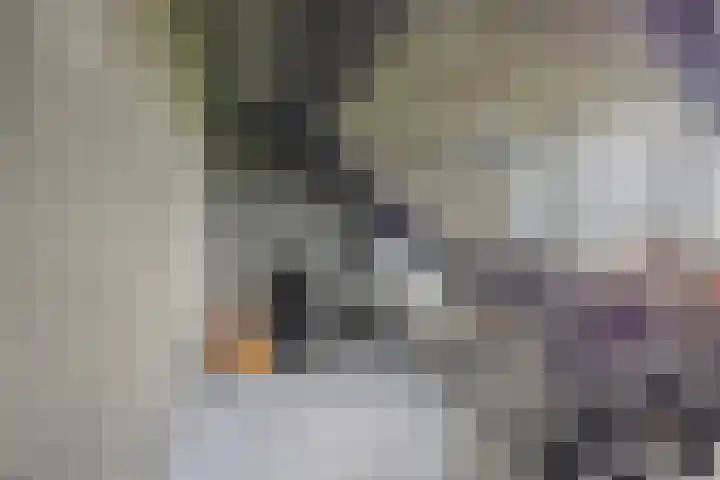 Brink 14 Nijmegen thumbnail 32