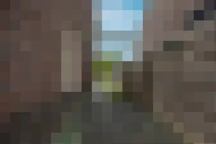 Brink 14 Nijmegen thumbnail 45