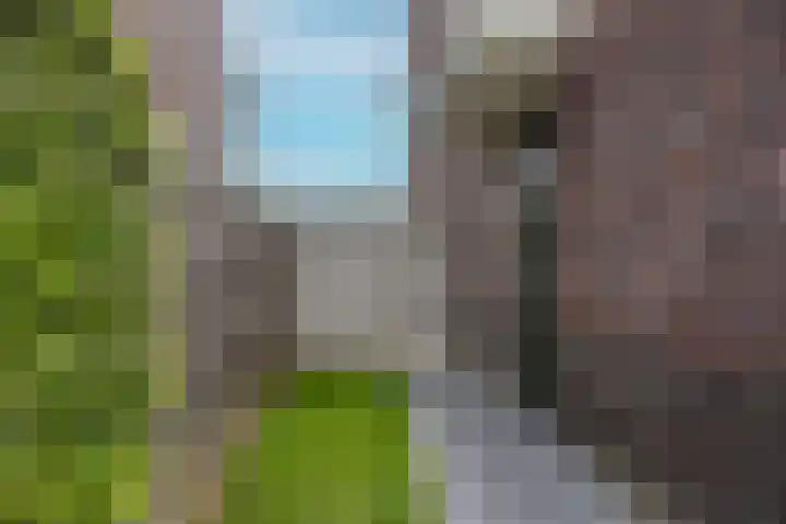 Brink 14 Nijmegen thumbnail 47