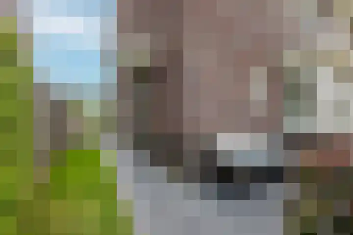 Brink 14 Nijmegen thumbnail 48