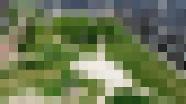 Brink 14 Nijmegen thumbnail 51