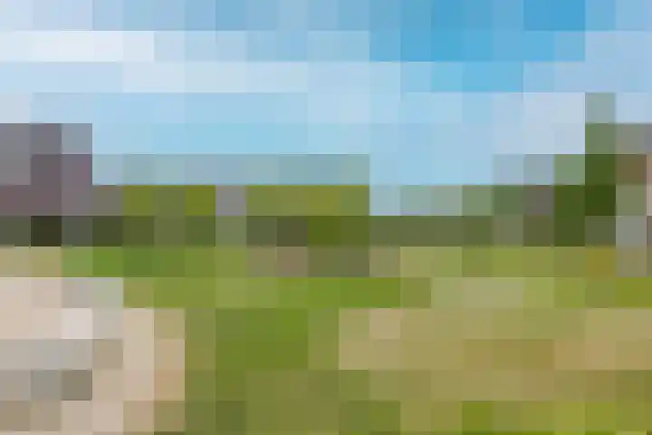 Brink 14 Nijmegen thumbnail 52