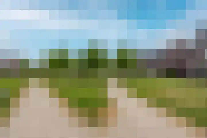 Brink 14 Nijmegen thumbnail 53