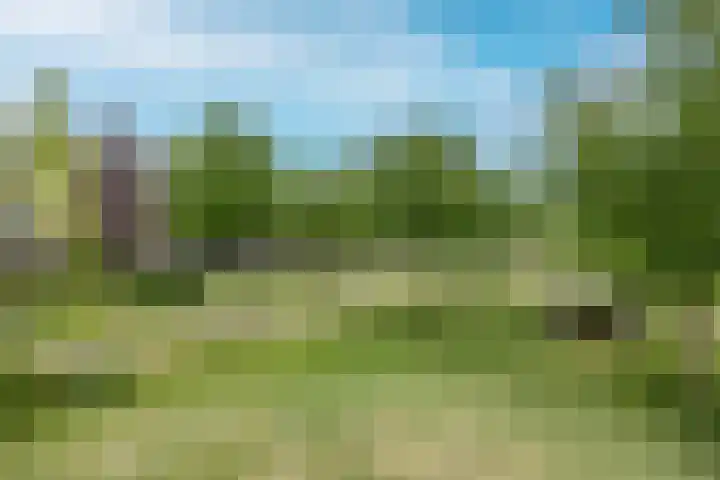 Brink 14 Nijmegen thumbnail 54