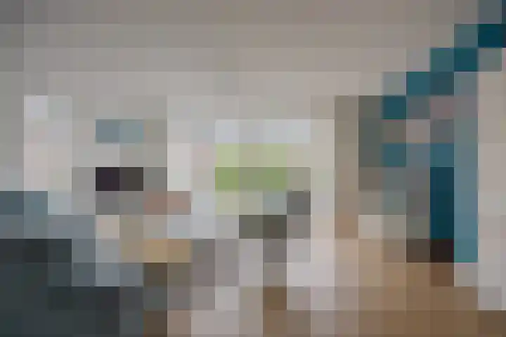 Brink 14 Nijmegen thumbnail 6