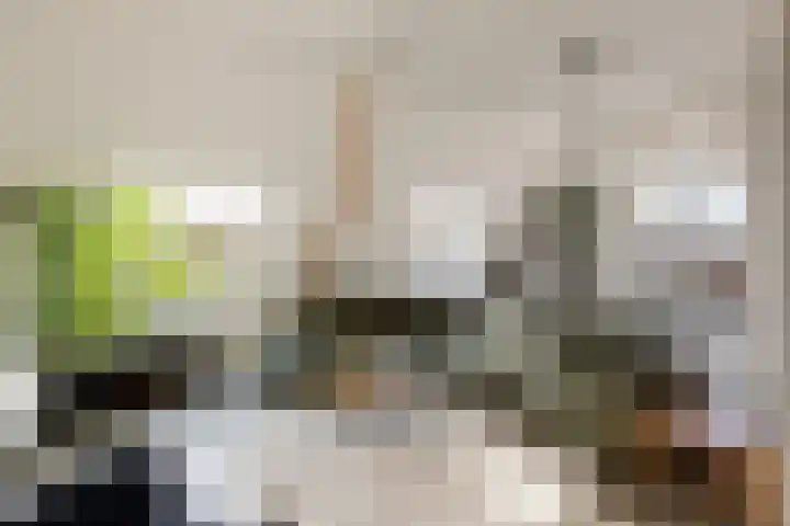 Brink 14 Werkhoven thumbnail 11