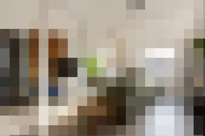 Brink 14 Werkhoven thumbnail 12
