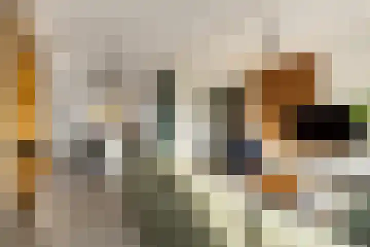 Brink 14 Werkhoven thumbnail 14
