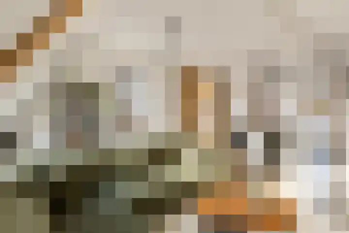 Brink 14 Werkhoven thumbnail 15