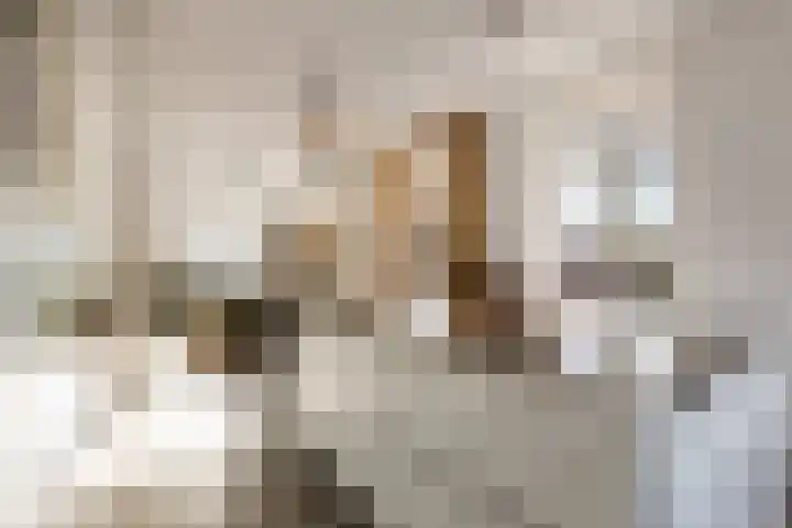 Brink 14 Werkhoven thumbnail 19