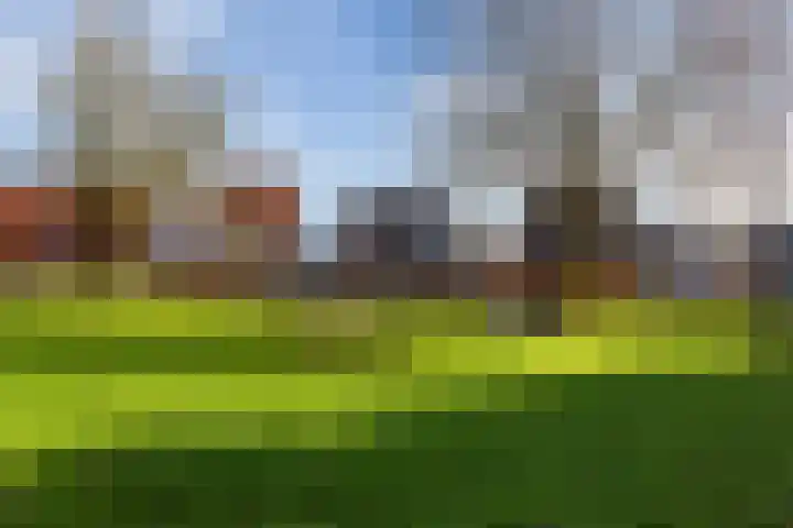 Brink 14 Werkhoven thumbnail 44